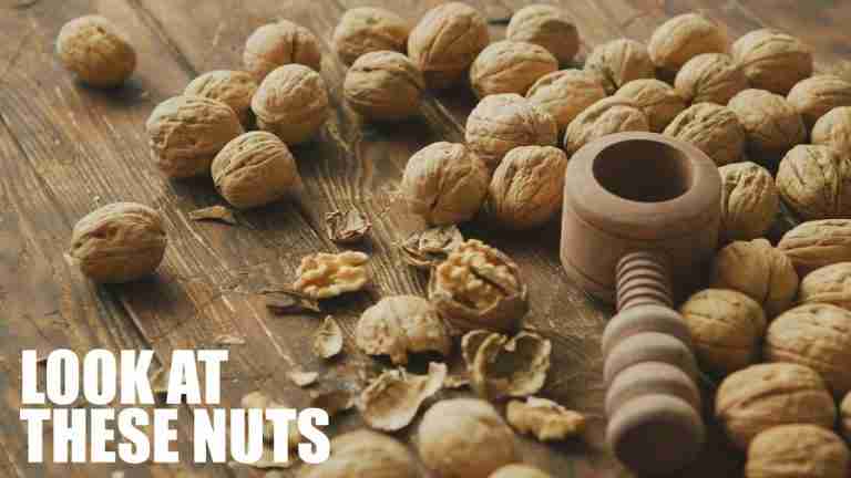 Read more about the article Look At These Nuts (with Melissa Villaseñor)