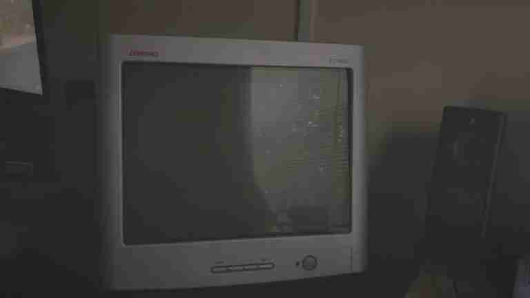 Read more about the article This is the life