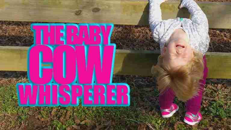 Read more about the article Funny Baby Video – Baby Cow Whisperer