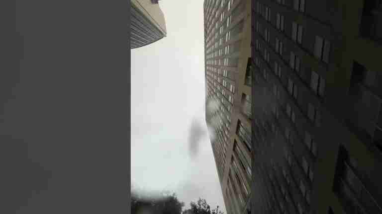 Read more about the article Thunderstorm & Rain