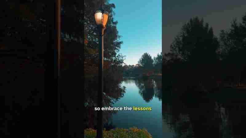 The Beauty of Failure