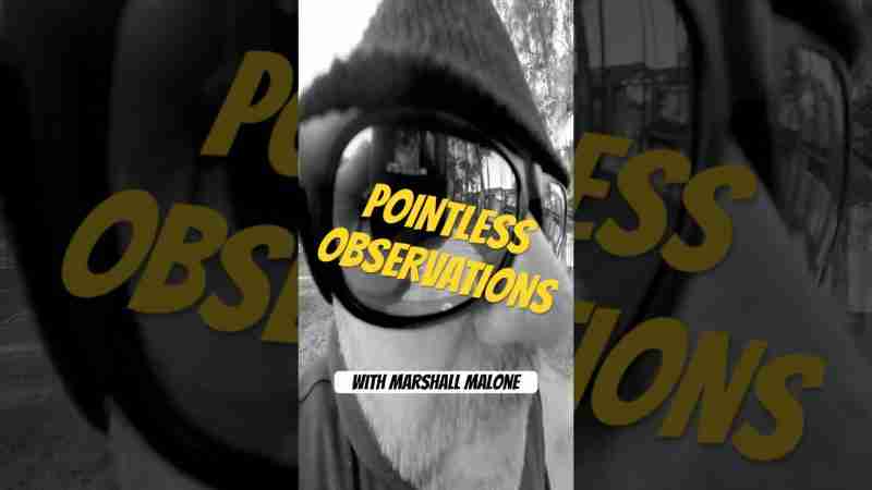 Pointless Observations with Marshall Malone