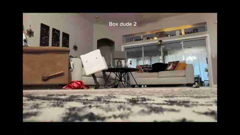 Read more about the article Box dude 1 & 2 Irl @buddymalone